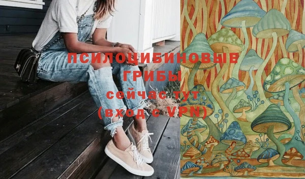 прущая мука Дмитриев