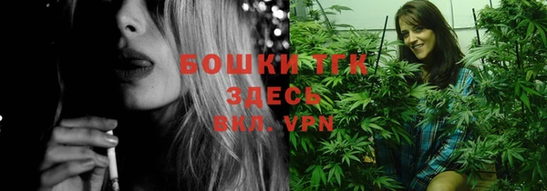прущая мука Дмитриев