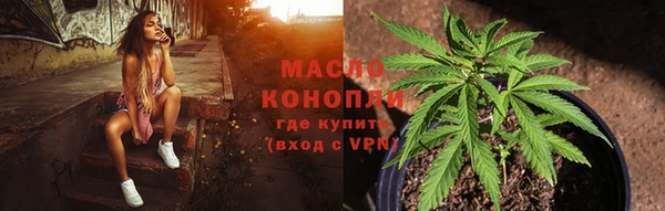 прущая мука Дмитриев