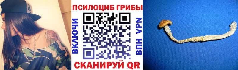 Галлюциногенные грибы Magic Shrooms  Ирбит 