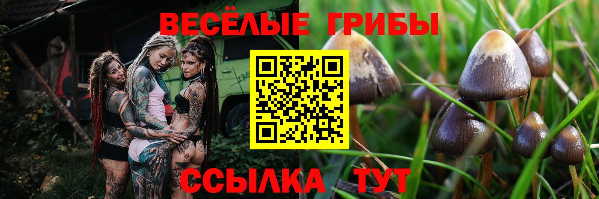 Галлюциногенные грибы MAGIC MUSHROOMS Ирбит