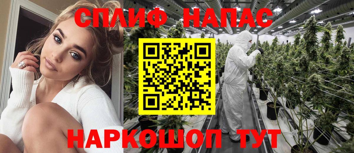 Каннабис план Ирбит